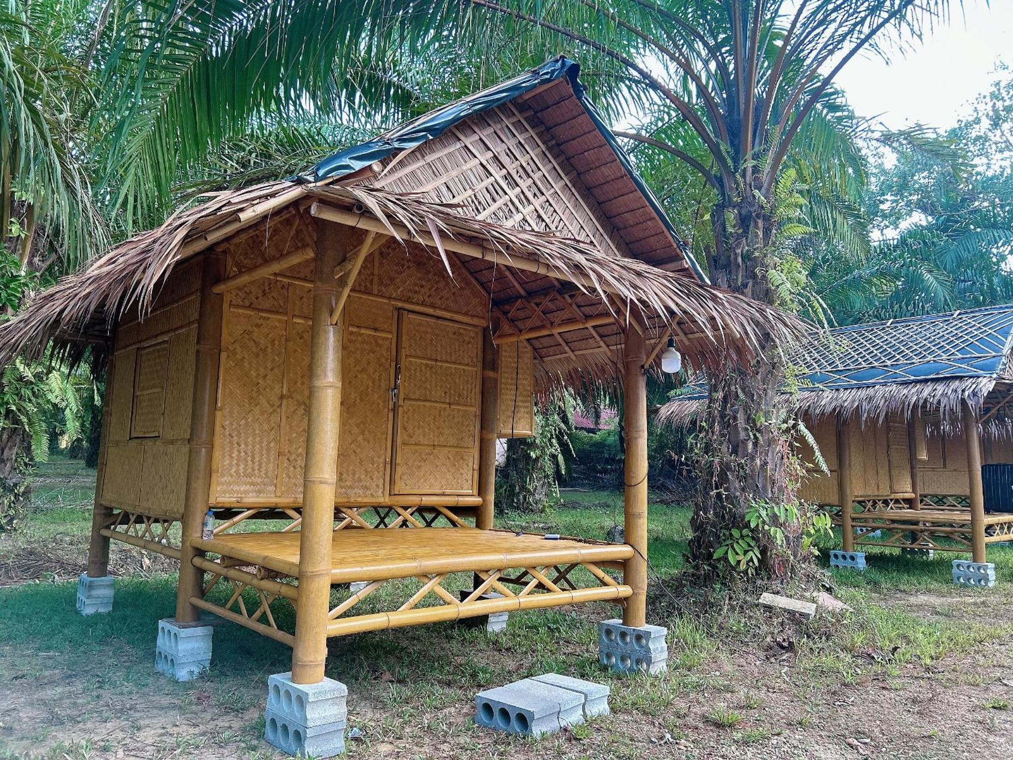Khaosok August Freedom Camp Hotell Khao Sok National Park Eksteriør bilde