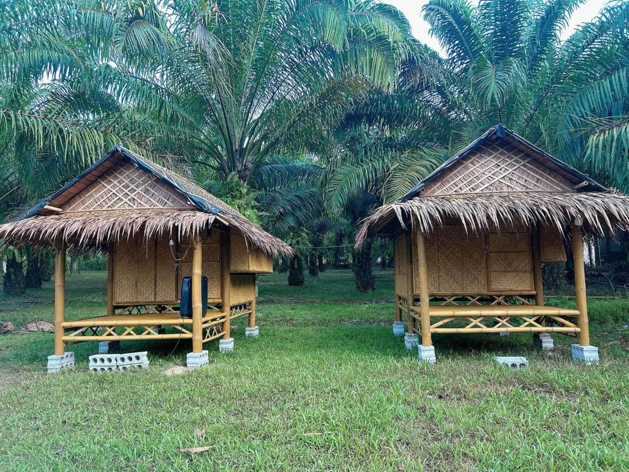 Khaosok August Freedom Camp Hotell Khao Sok National Park Eksteriør bilde